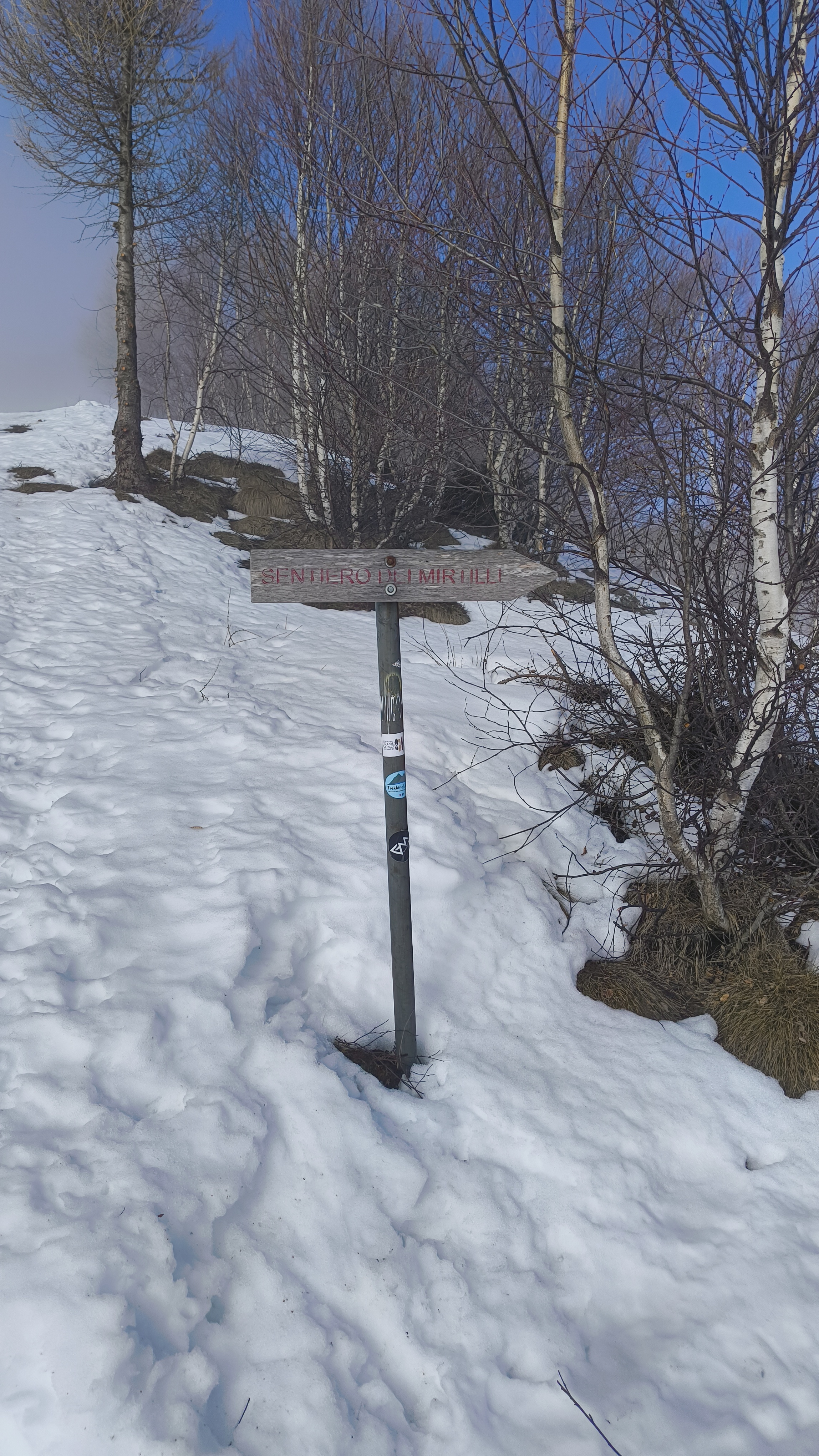 Foto n° 3 del trekking Monte Muggio Innevato